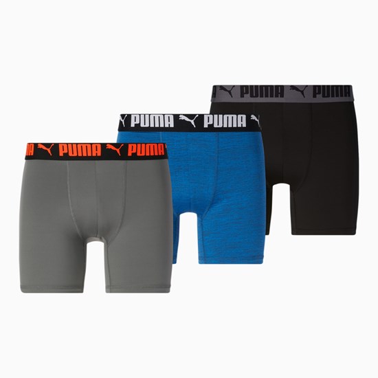 Pánské Briefs Puma Atletické Boxerské Briefs [3 Pack] Blankyt Šedé | 862743-GRY