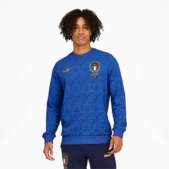 Pánské Mikiny Puma FIGC Graphic Winner Soccer Blankyt Blankyt | CLKO73182